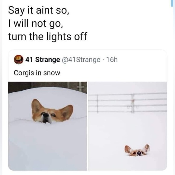 ✨New Follow Game✨    Come collect new followers! 🥳 - Picture 3 of 3